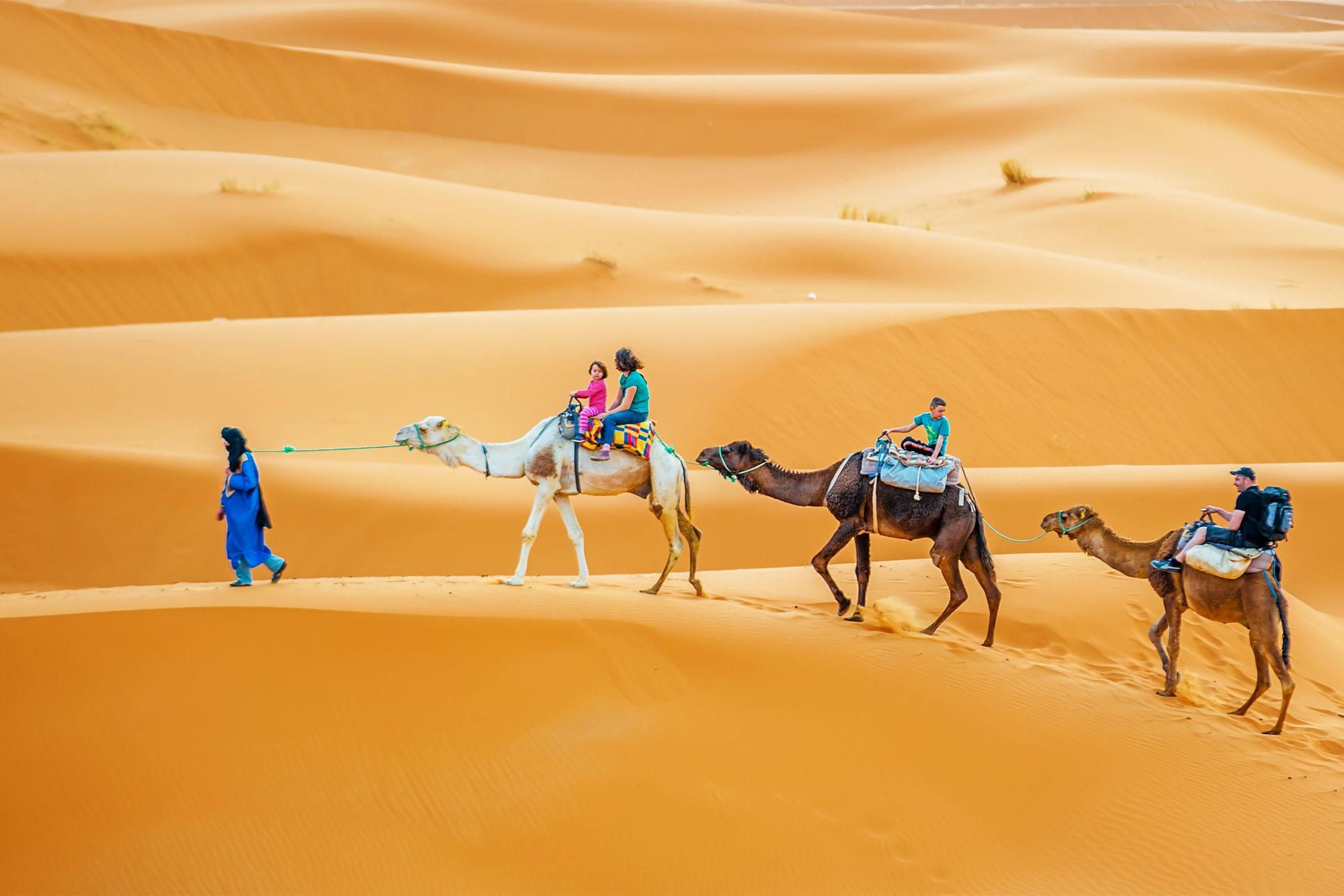 Desert Adventures: Sandboarding, Camel Treks, and More
